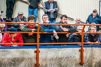 Longtown Ram Fair-17